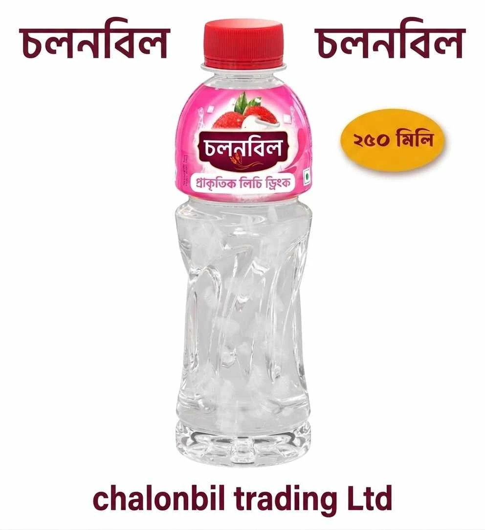 চলনবিল লিচু